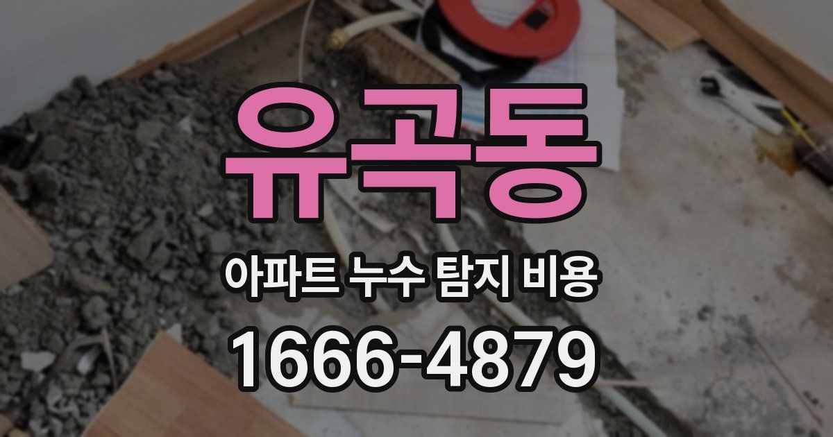 유곡동 아파트 누수 탐지 비용