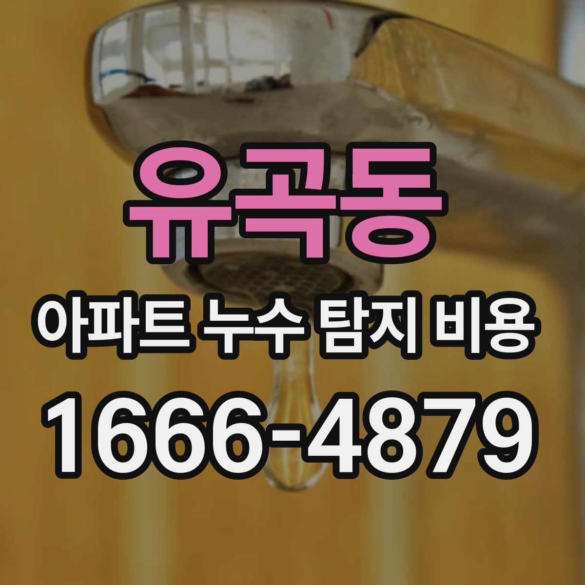 유곡동 아파트 누수 탐지 비용