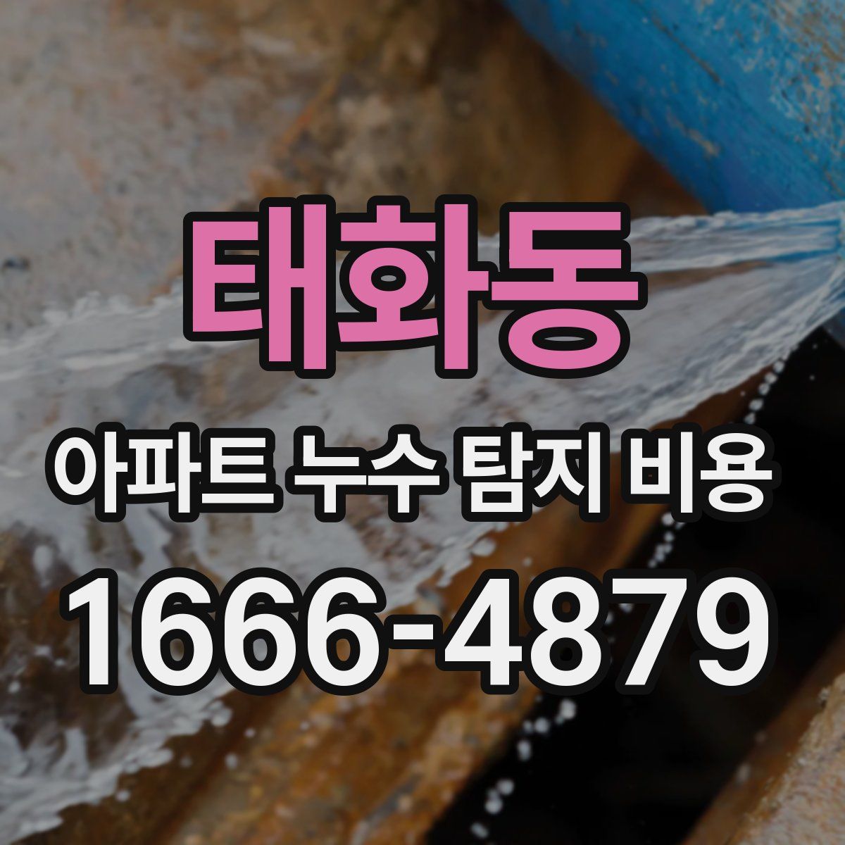 태화동 아파트 누수 탐지 비용