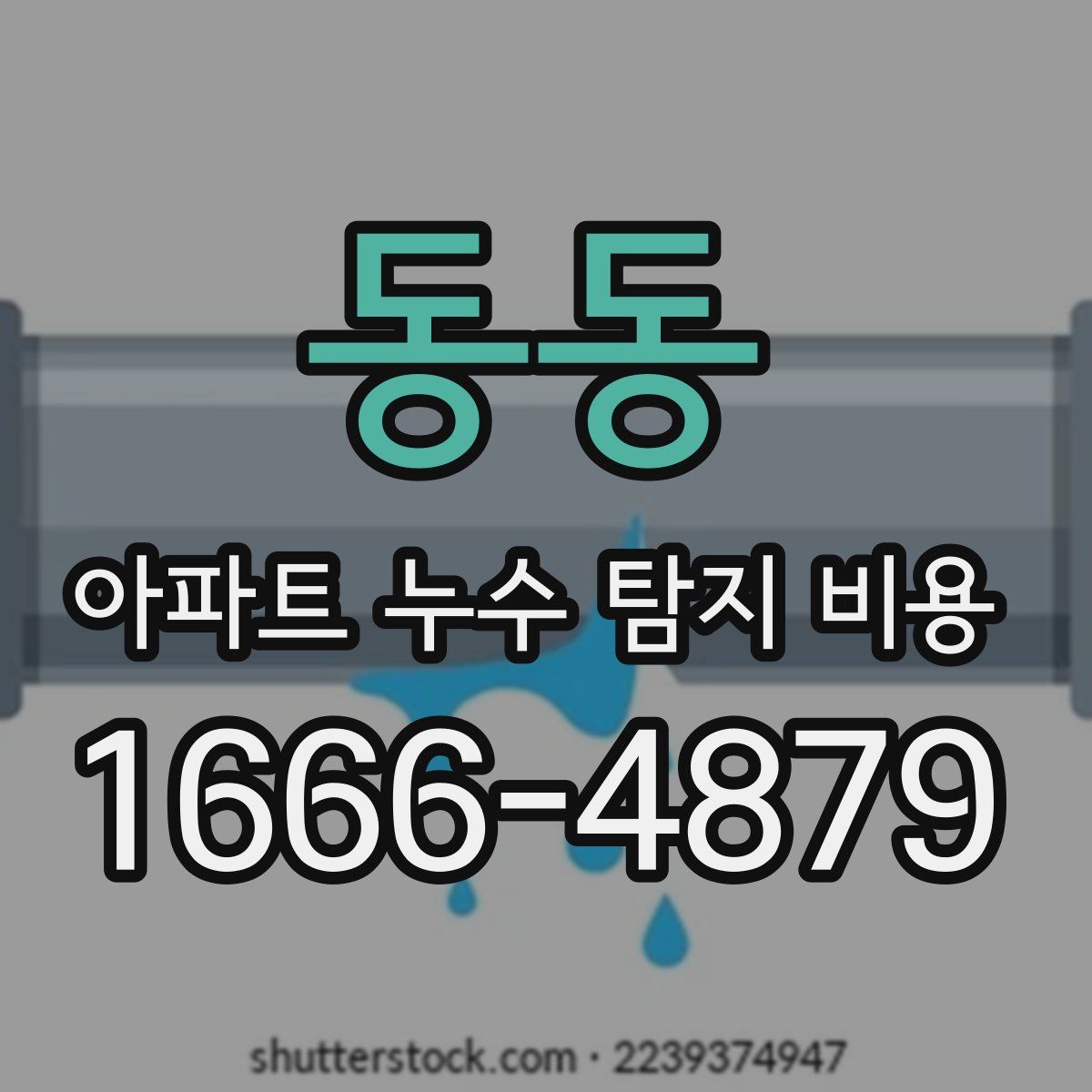 동동 아파트 누수 탐지 비용