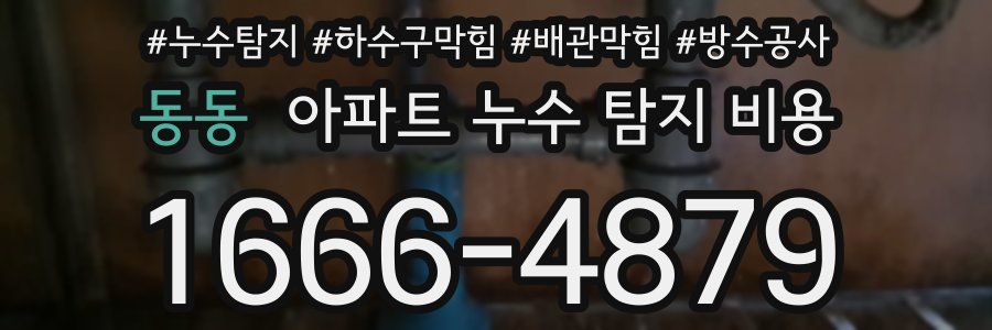 동동 아파트 누수 탐지 비용