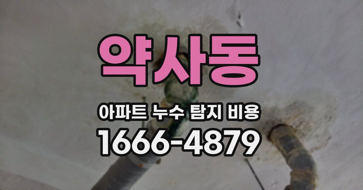 약사동 아파트 누수 탐지 비용