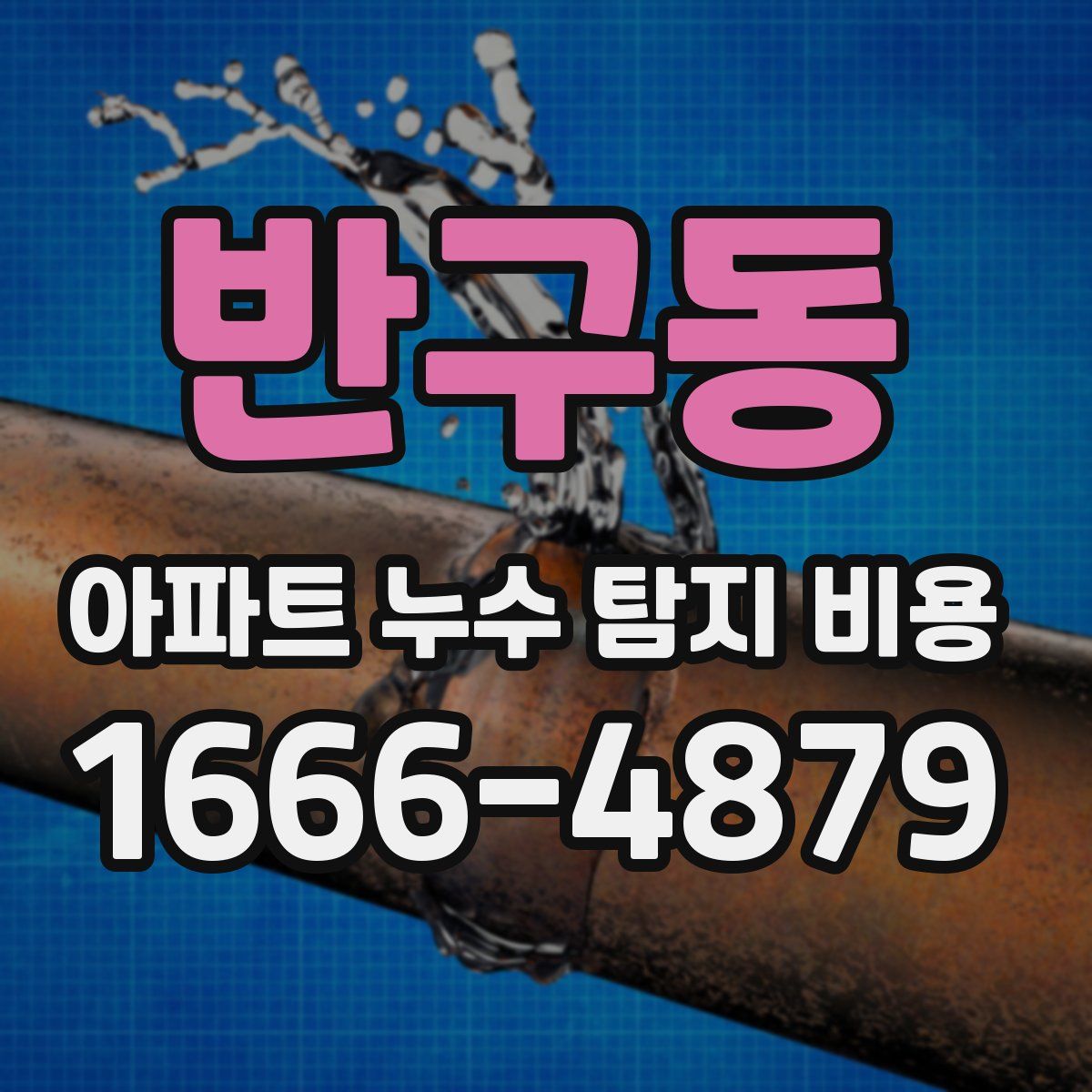 반구동 아파트 누수 탐지 비용