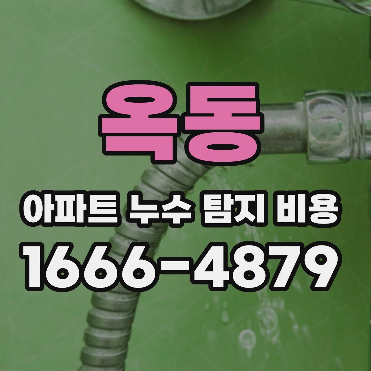 옥동 아파트 누수 탐지 비용