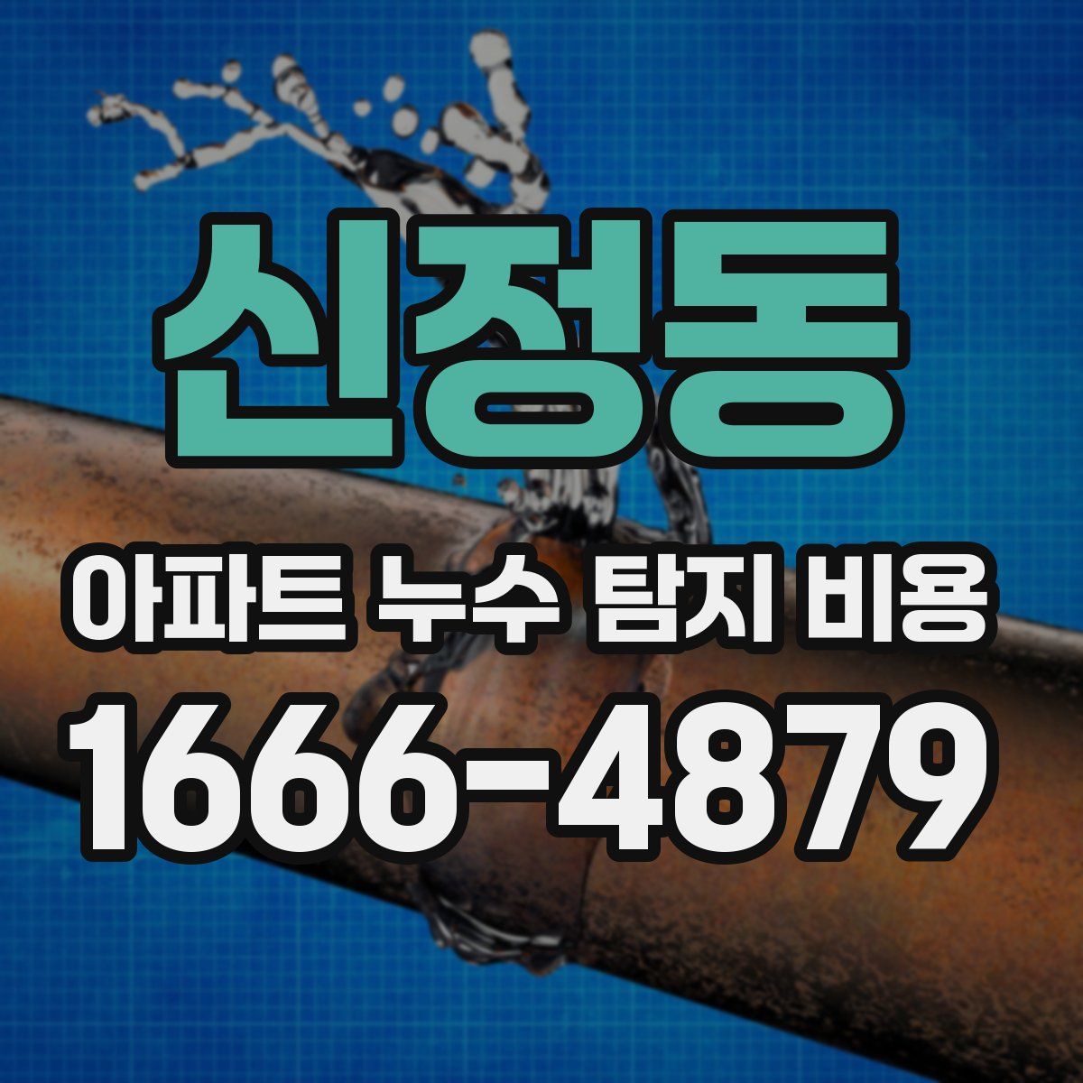 신정동 아파트 누수 탐지 비용