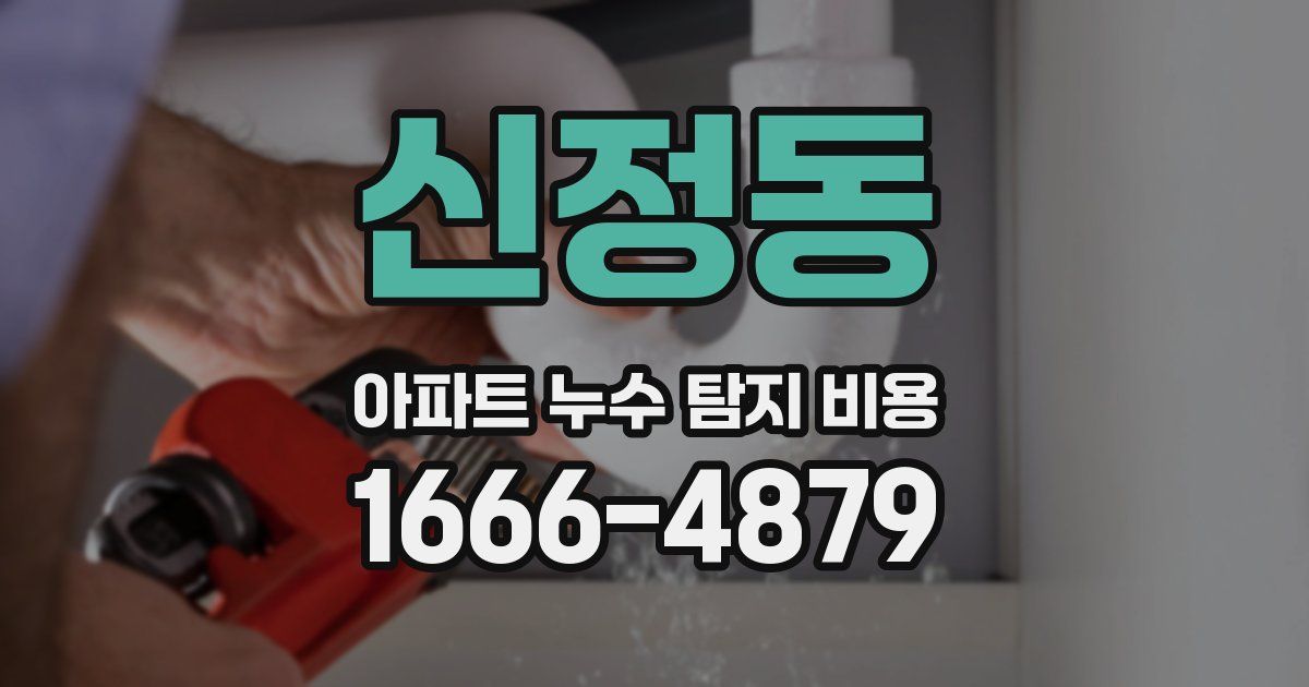 신정동 아파트 누수 탐지 비용