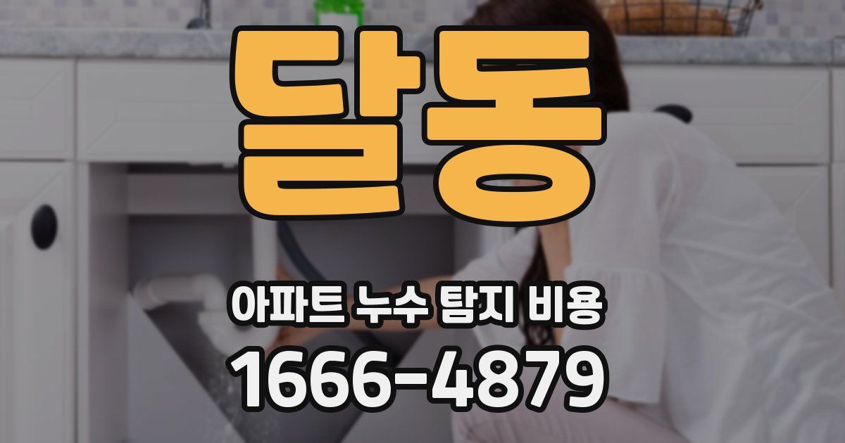 달동 아파트 누수 탐지 비용