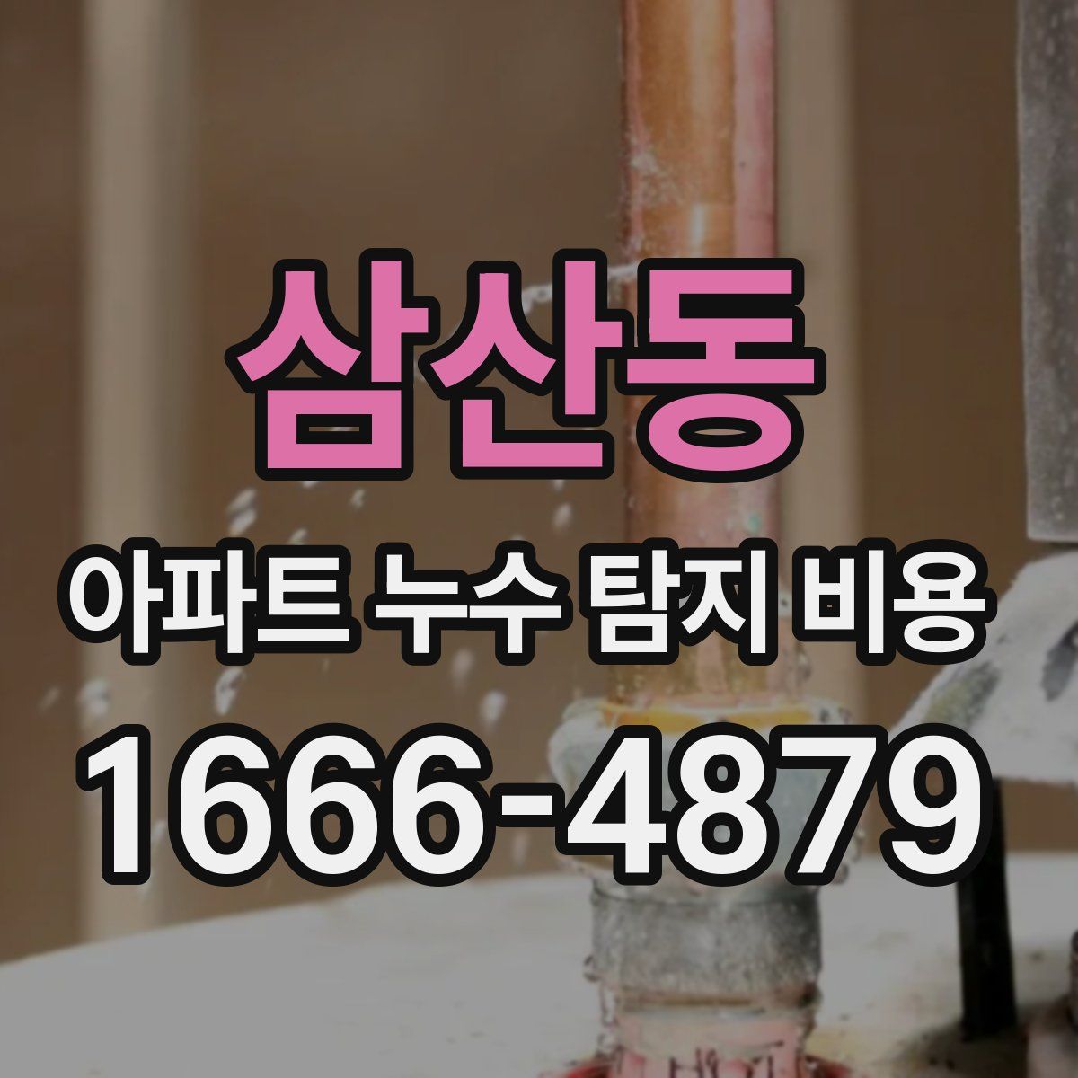 삼산동 아파트 누수 탐지 비용