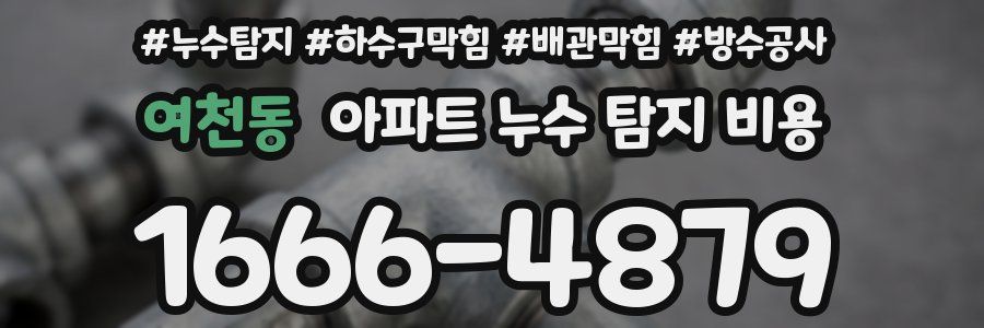 여천동 아파트 누수 탐지 비용