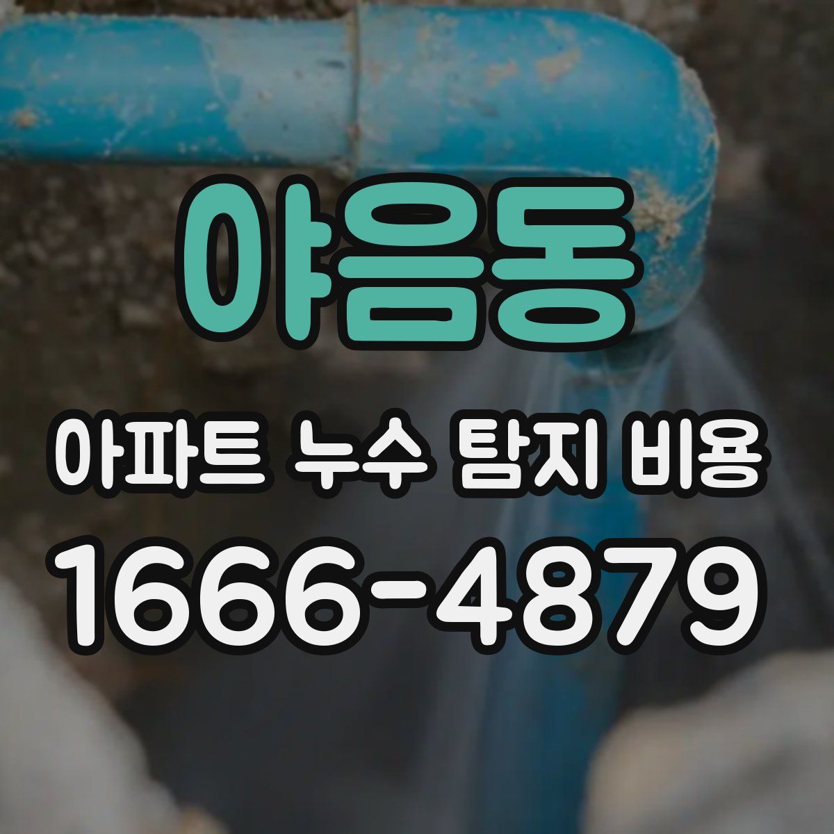 야음동 아파트 누수 탐지 비용