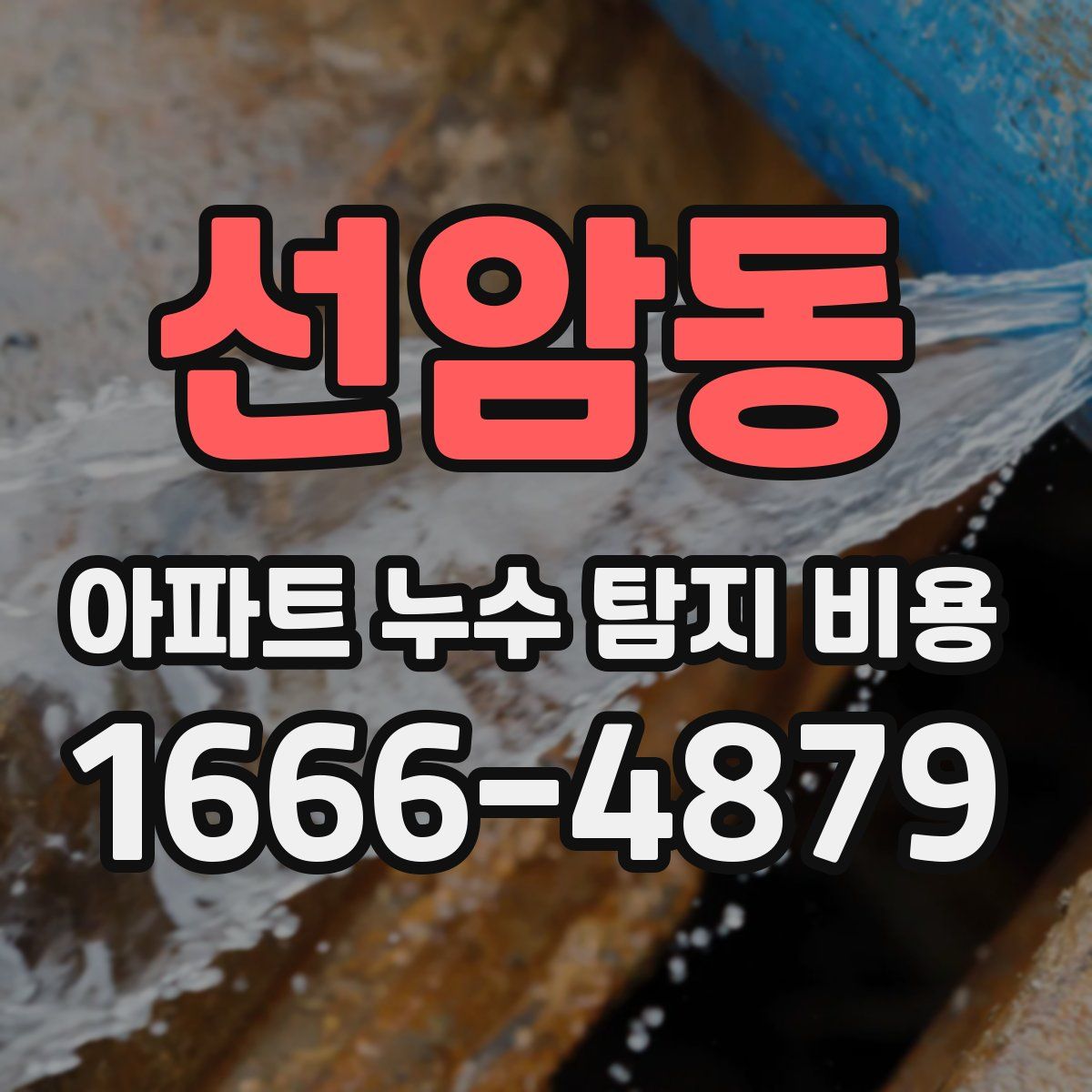 선암동 아파트 누수 탐지 비용