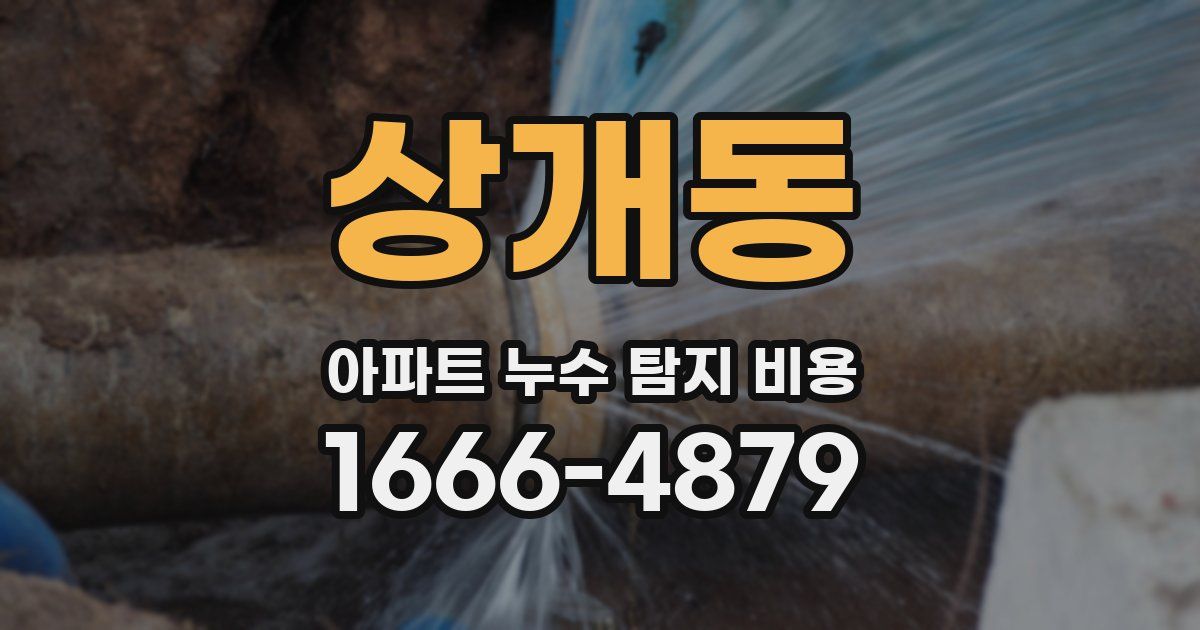 상개동 아파트 누수 탐지 비용