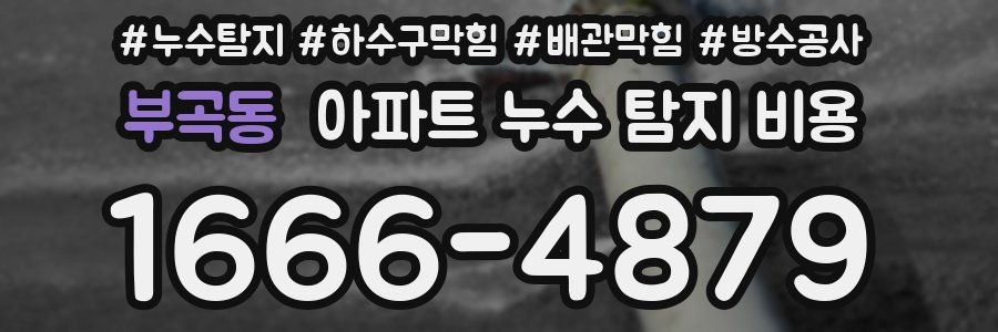 부곡동 아파트 누수 탐지 비용