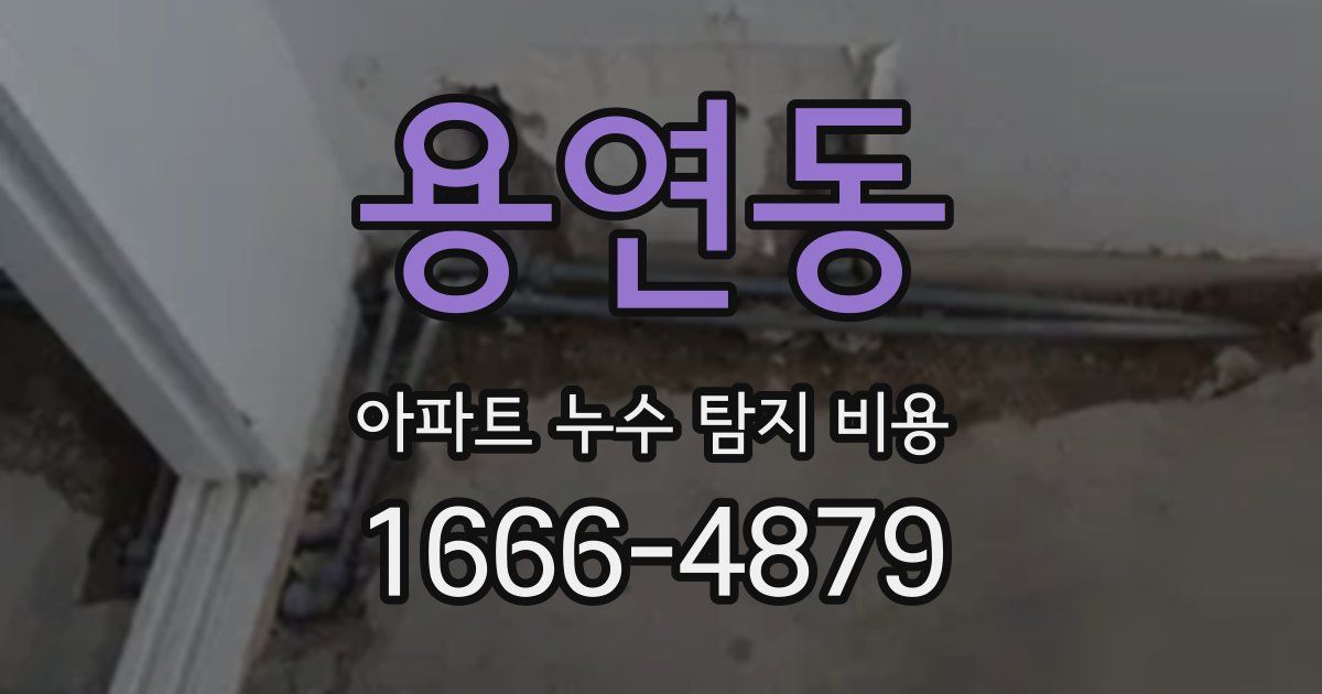용연동 아파트 누수 탐지 비용