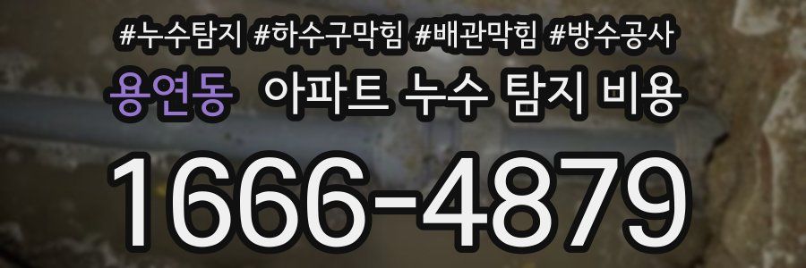 용연동 아파트 누수 탐지 비용
