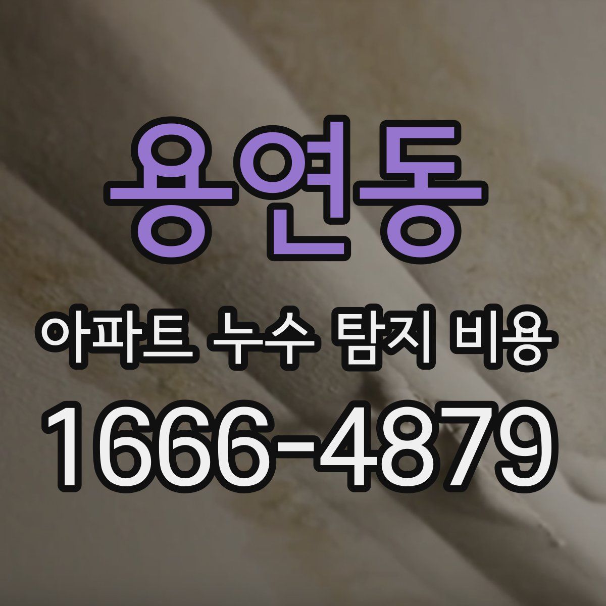용연동 아파트 누수 탐지 비용