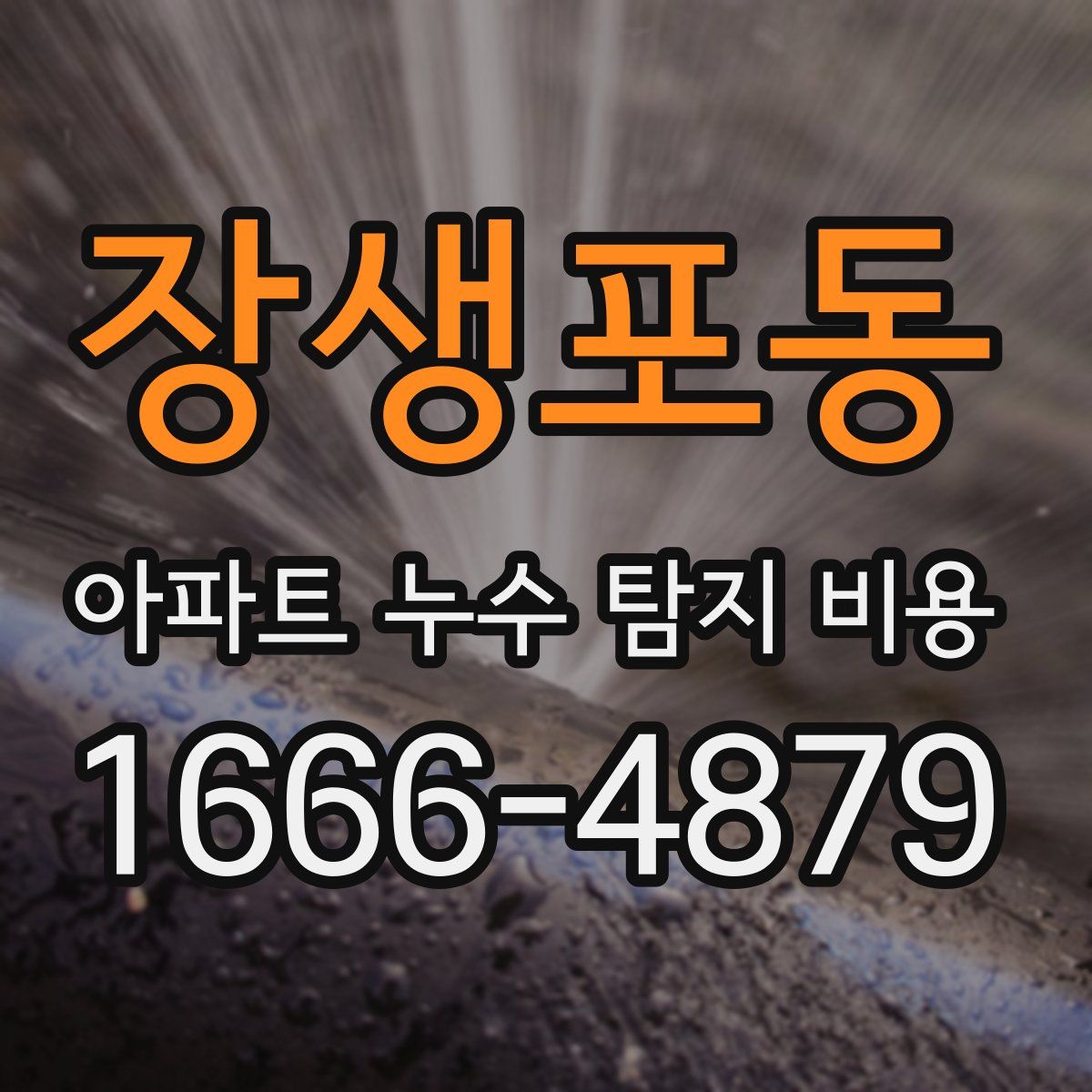 장생포동 아파트 누수 탐지 비용