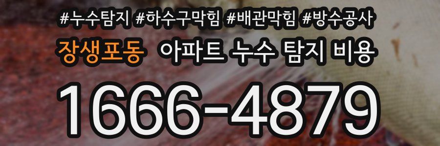 장생포동 아파트 누수 탐지 비용