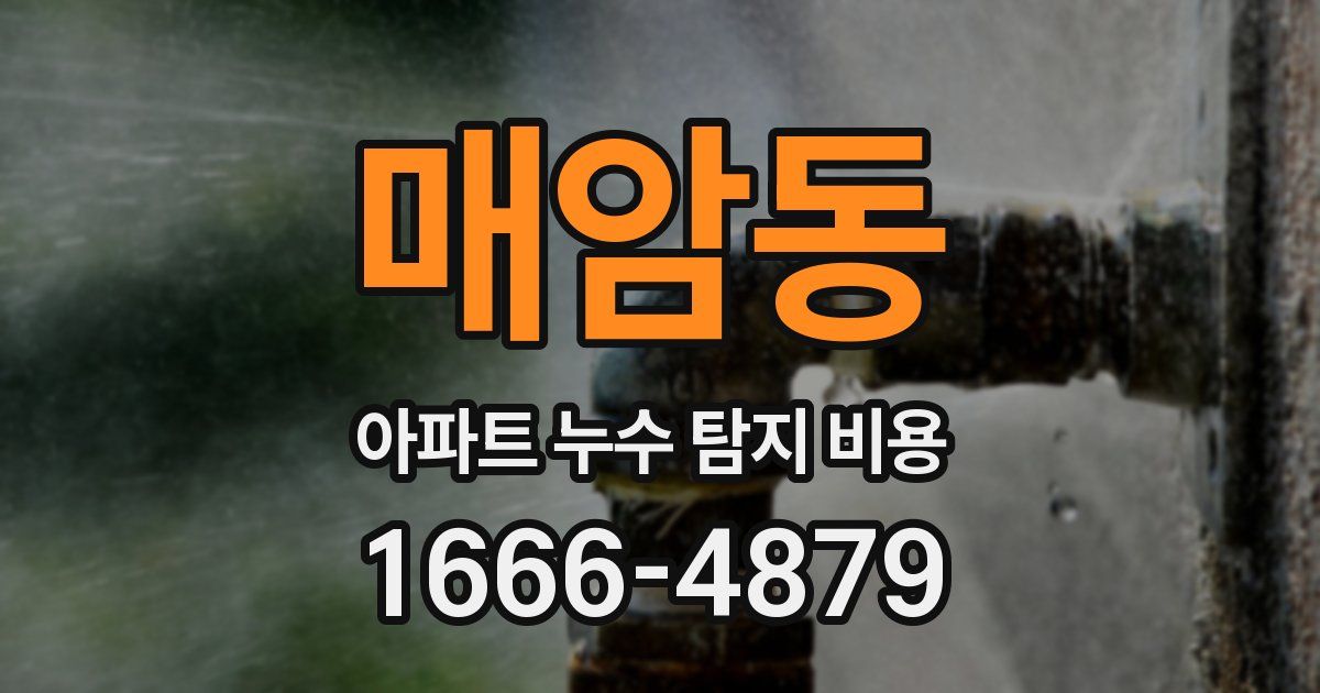 매암동 아파트 누수 탐지 비용