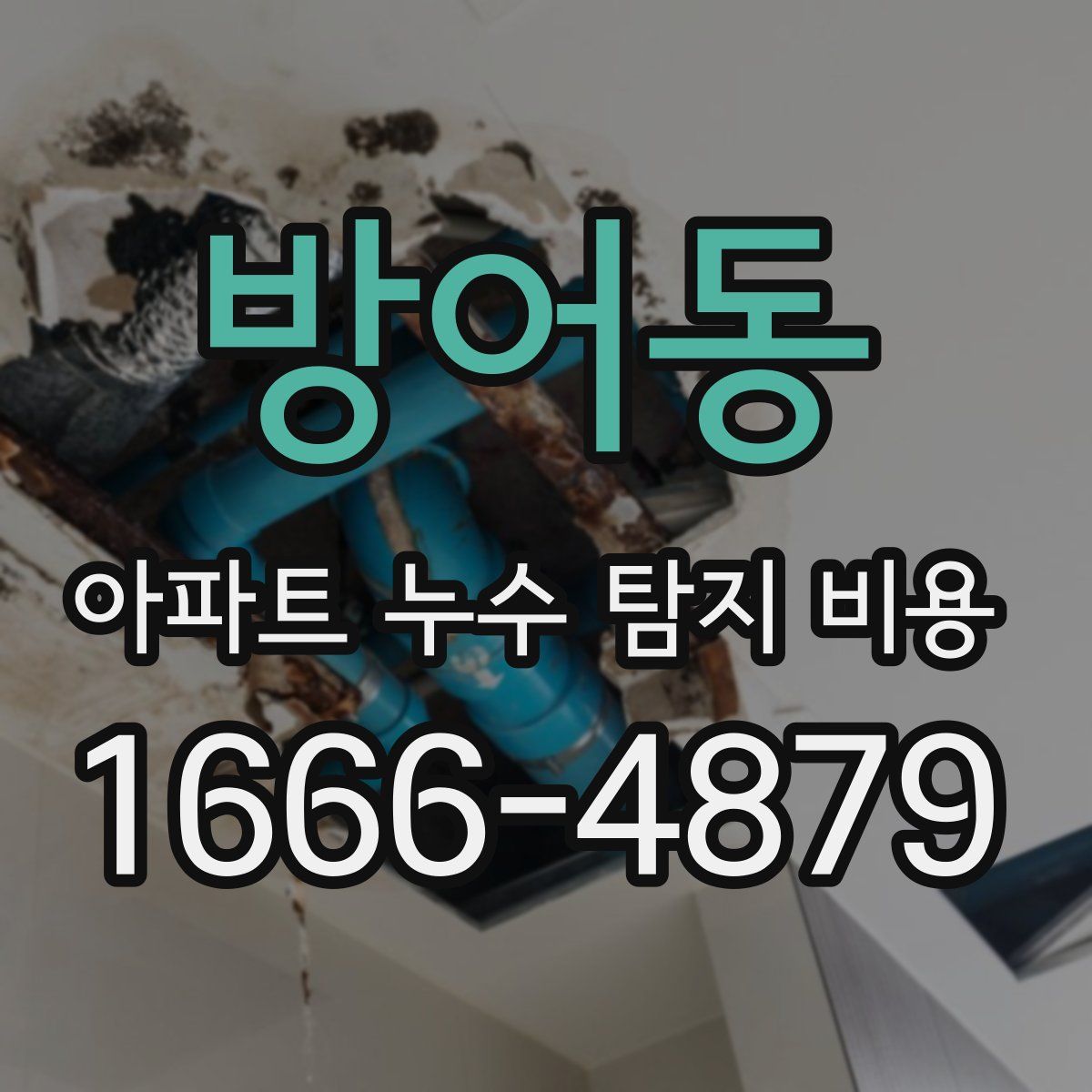 방어동 아파트 누수 탐지 비용