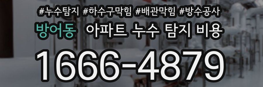 방어동 아파트 누수 탐지 비용