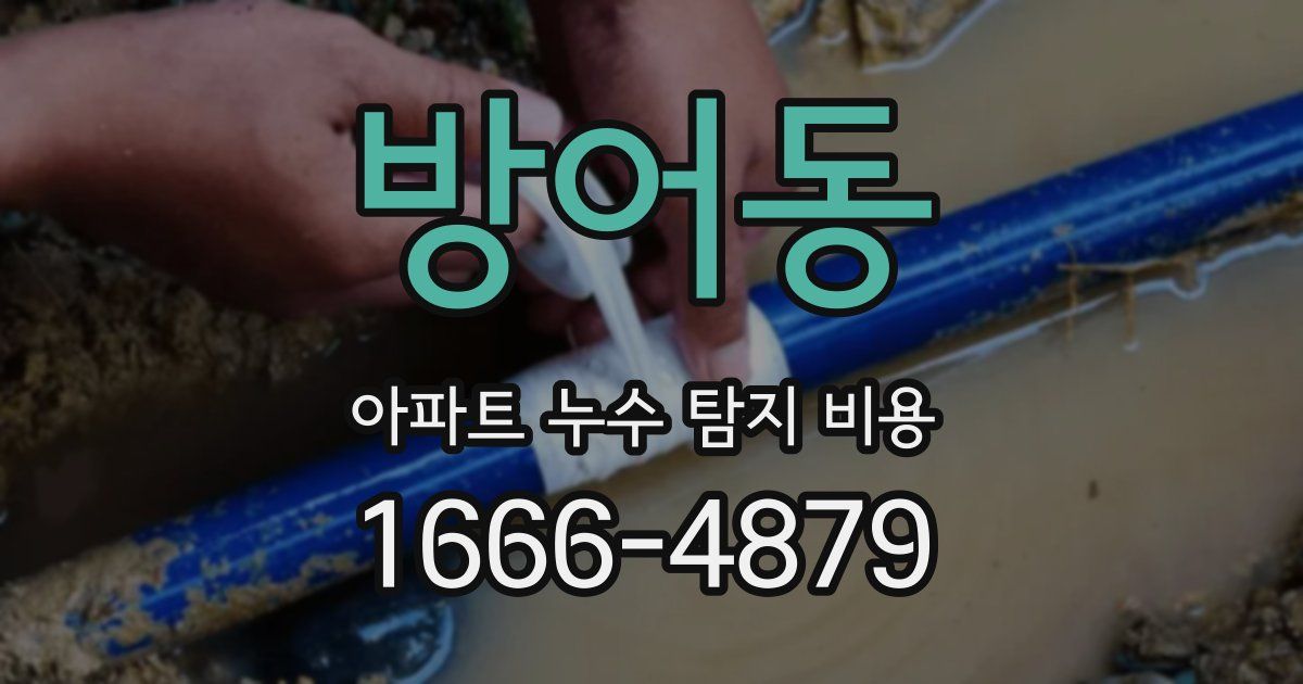 방어동 아파트 누수 탐지 비용