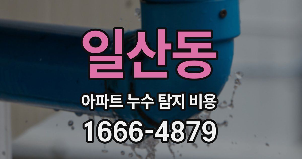 일산동 아파트 누수 탐지 비용