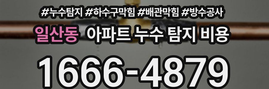 일산동 아파트 누수 탐지 비용