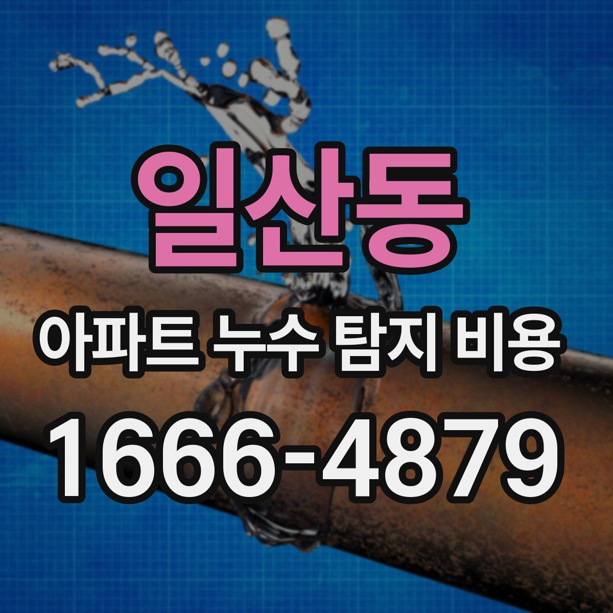 일산동 아파트 누수 탐지 비용
