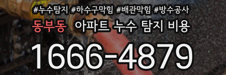 동부동 아파트 누수 탐지 비용