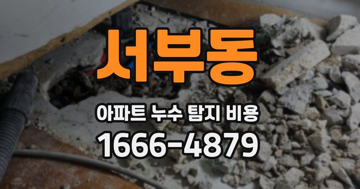 서부동 아파트 누수 탐지 비용