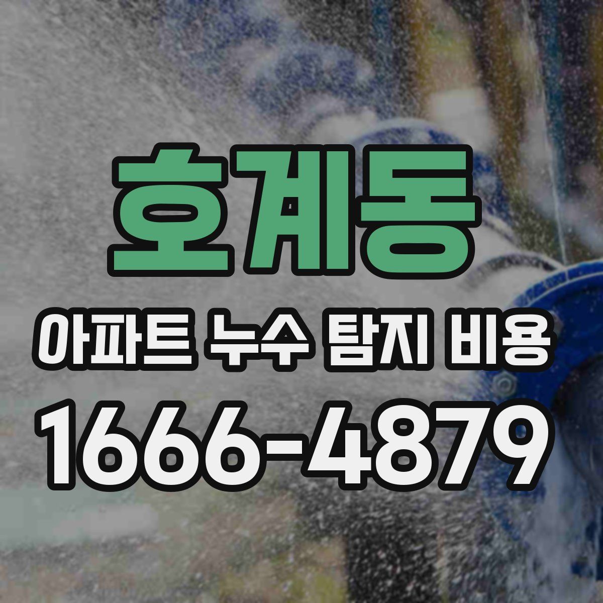 호계동 아파트 누수 탐지 비용
