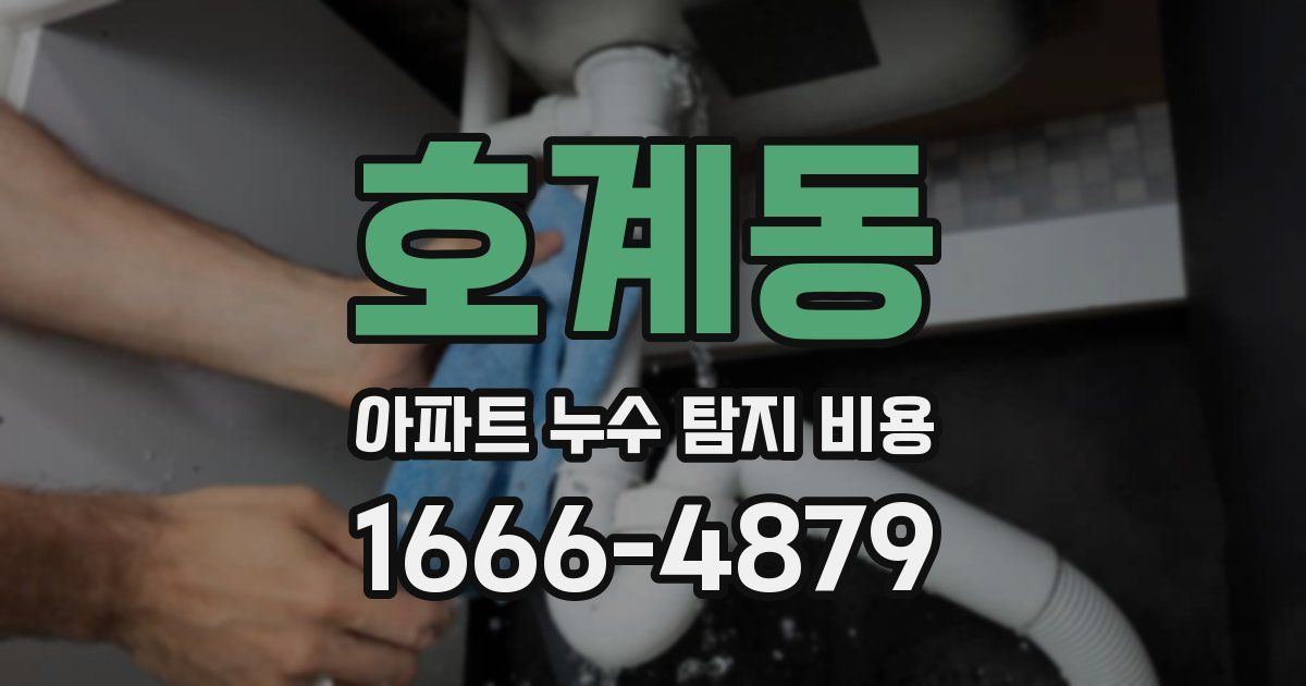 호계동 아파트 누수 탐지 비용