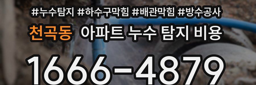천곡동 아파트 누수 탐지 비용