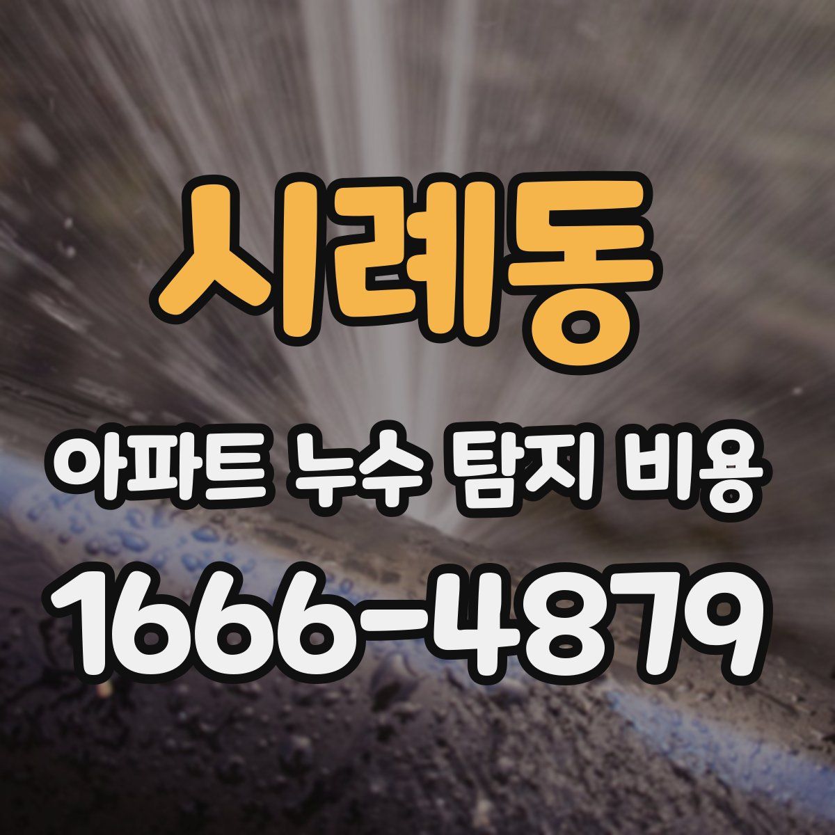 시례동 아파트 누수 탐지 비용