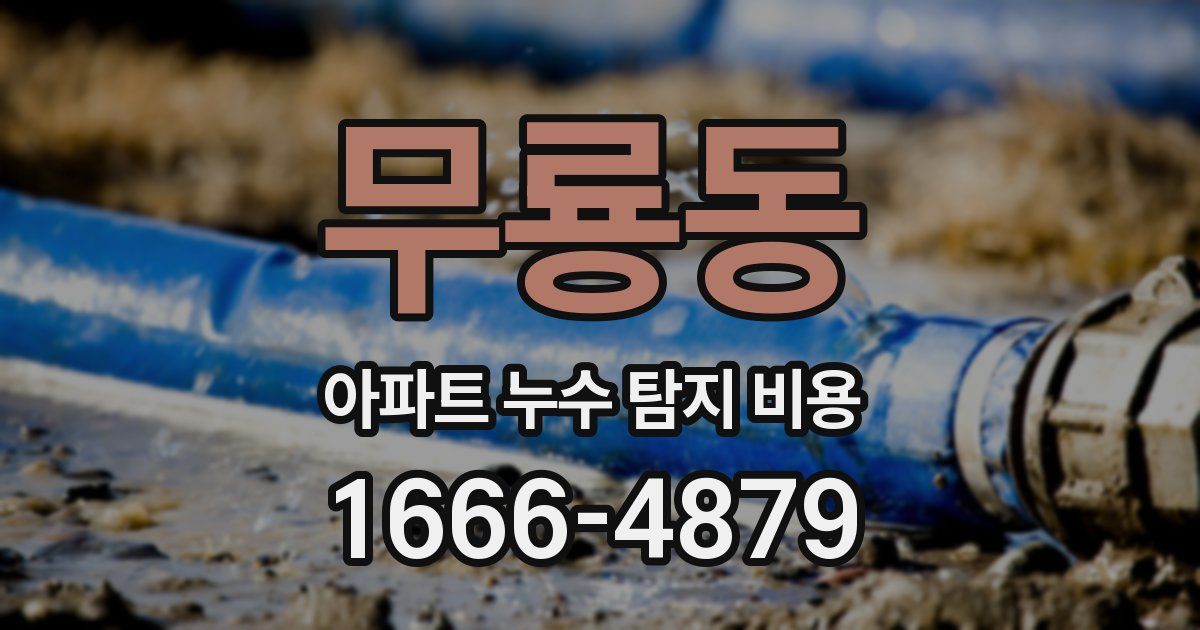 무룡동 아파트 누수 탐지 비용