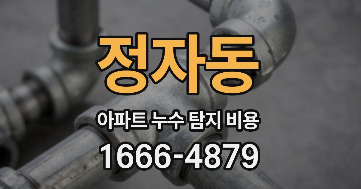정자동 아파트 누수 탐지 비용