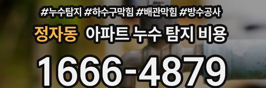 정자동 아파트 누수 탐지 비용