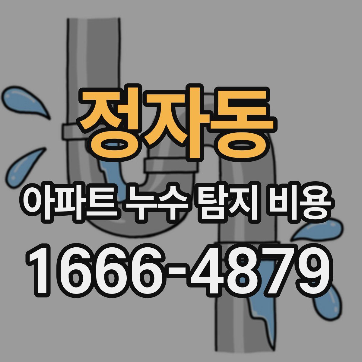 정자동 아파트 누수 탐지 비용
