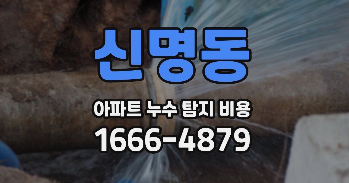 신명동 아파트 누수 탐지 비용
