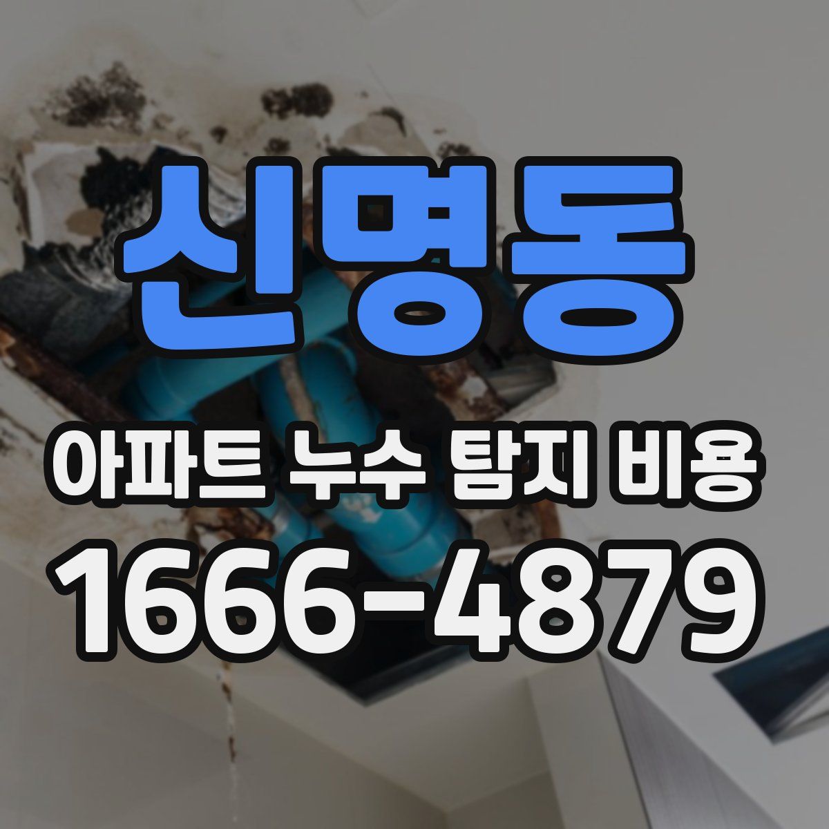 신명동 아파트 누수 탐지 비용