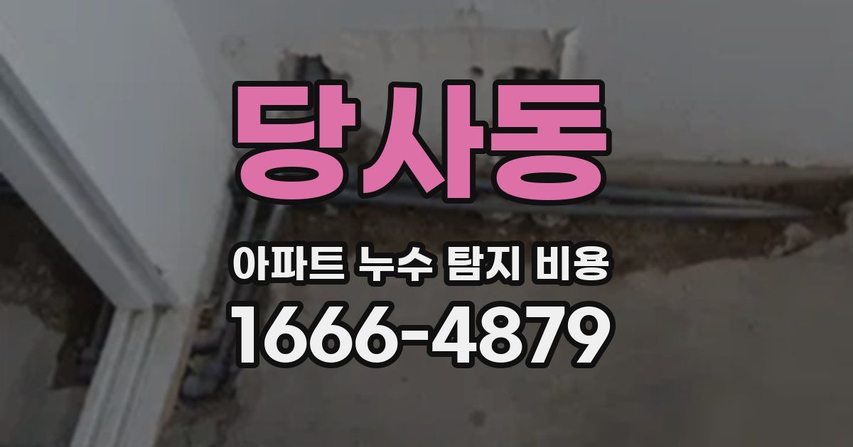 당사동 아파트 누수 탐지 비용