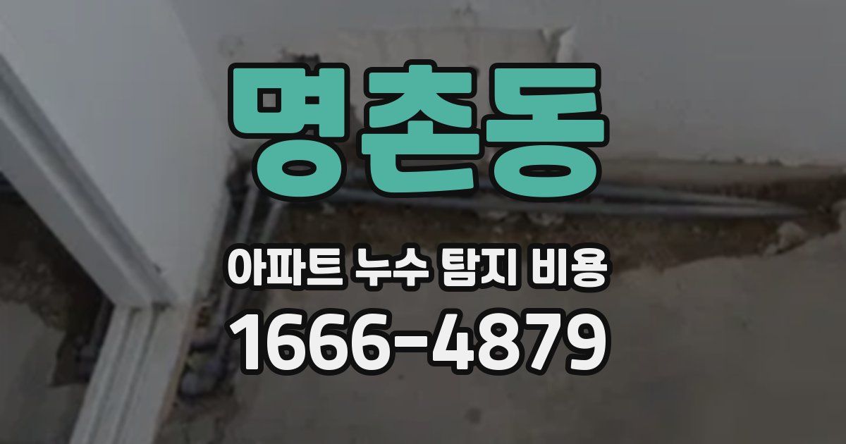 명촌동 아파트 누수 탐지 비용