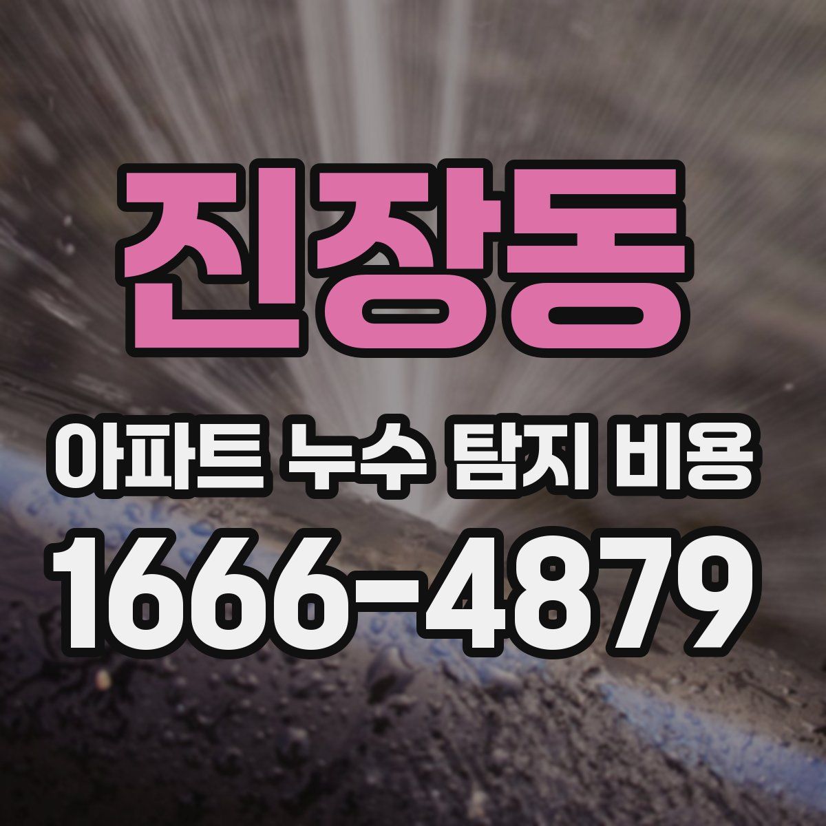 진장동 아파트 누수 탐지 비용