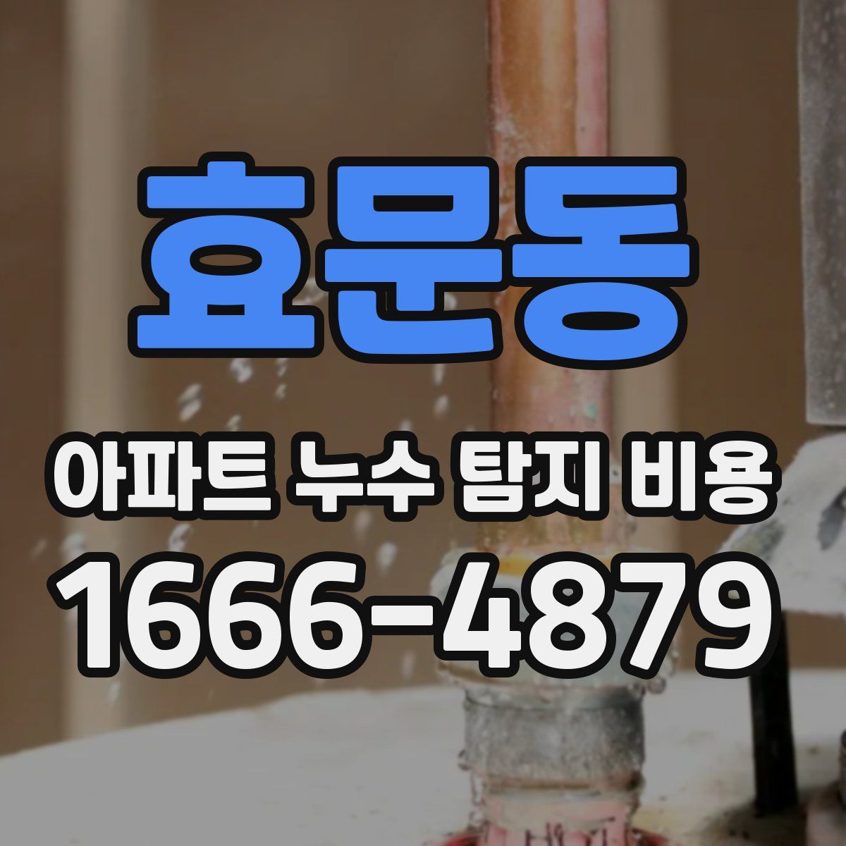 효문동 아파트 누수 탐지 비용