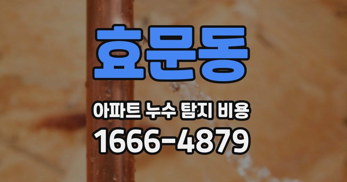 효문동 아파트 누수 탐지 비용