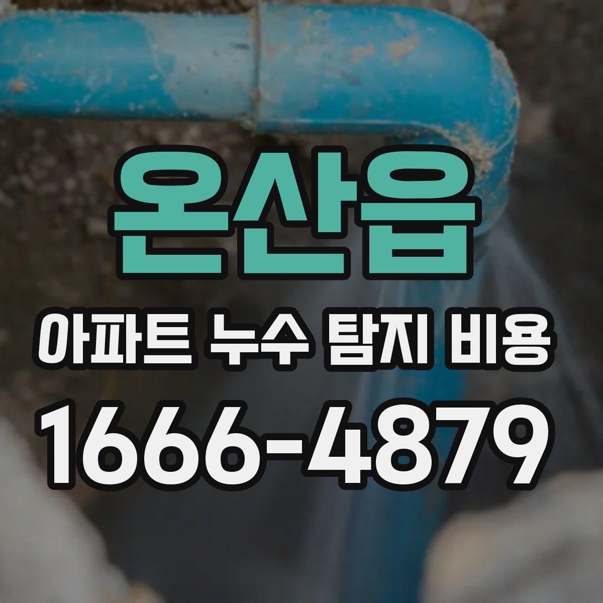 온산읍 아파트 누수 탐지 비용