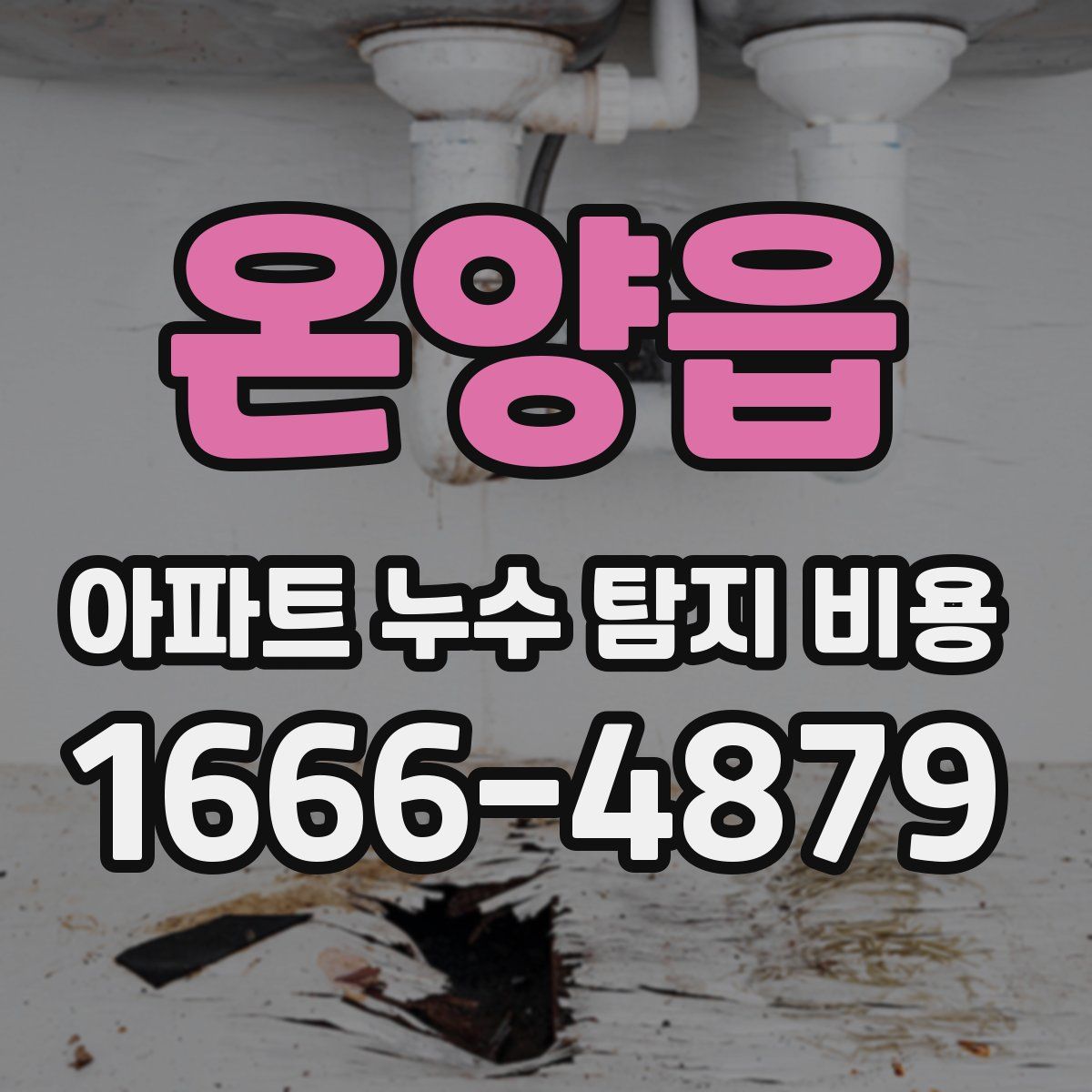 온양읍 아파트 누수 탐지 비용