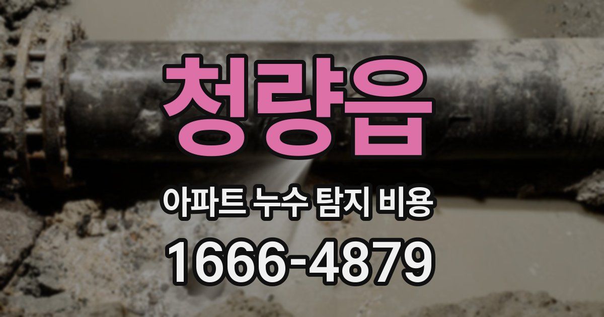 청량읍 아파트 누수 탐지 비용