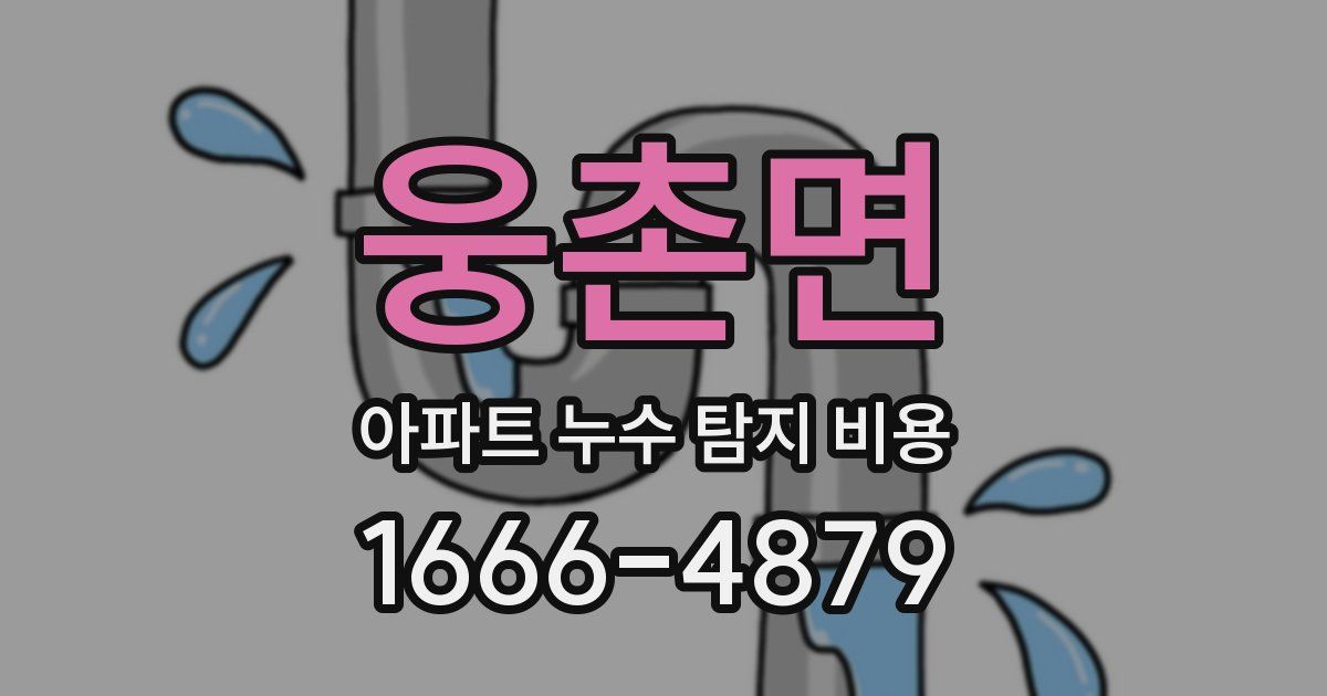 웅촌면 아파트 누수 탐지 비용